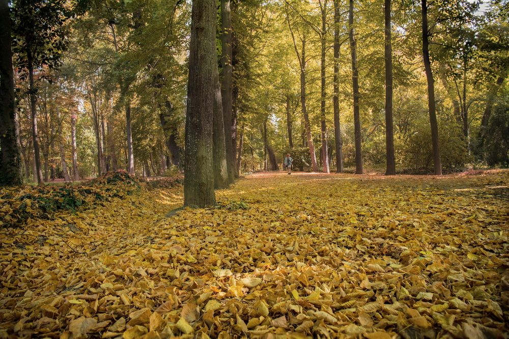 Photograph by Santiago Mata