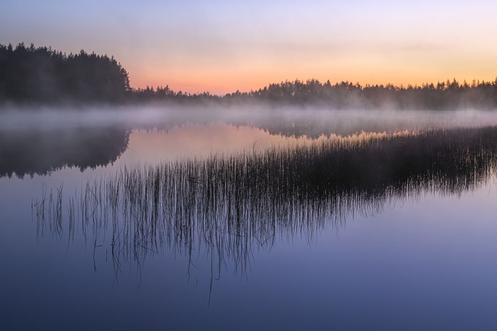 Photograph by Ярослав Лукьянов