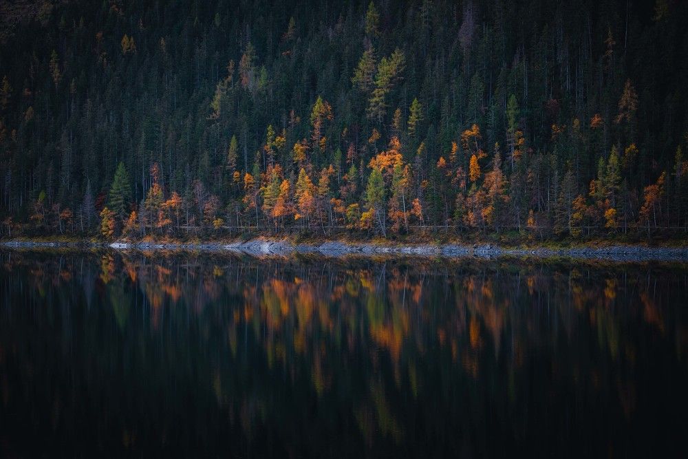 Фотография автора Kristijan Males