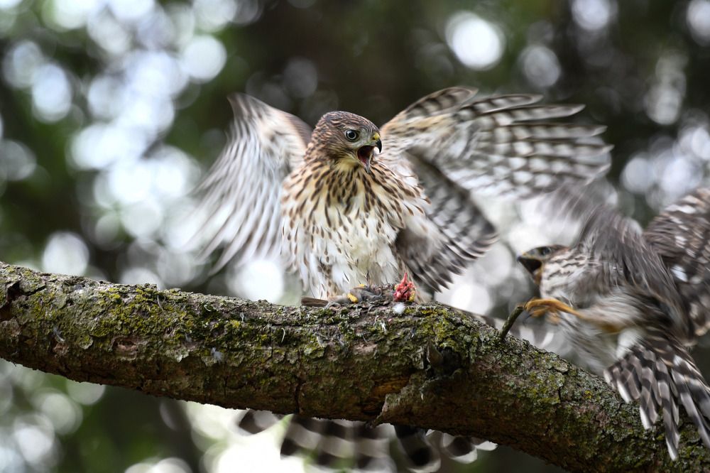 Photograph by Nathalie Talbot