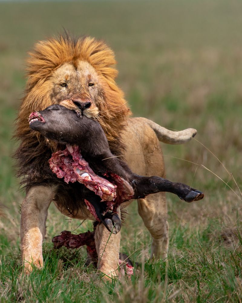 Photograph by Mohammad Yasir Hussain