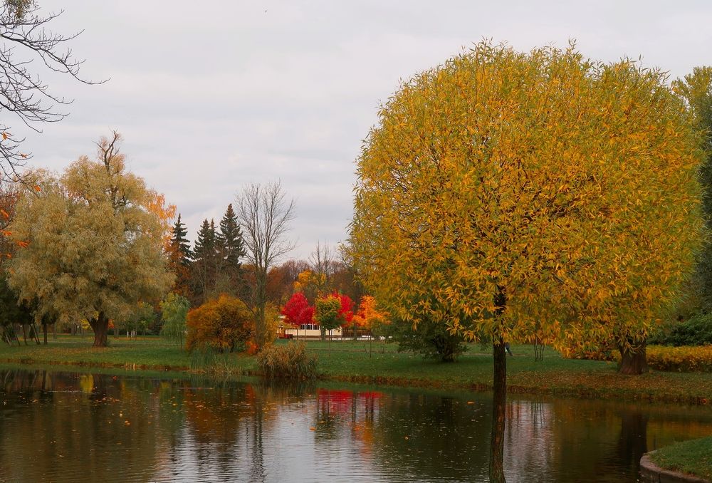 Photograph by Dark Ambient