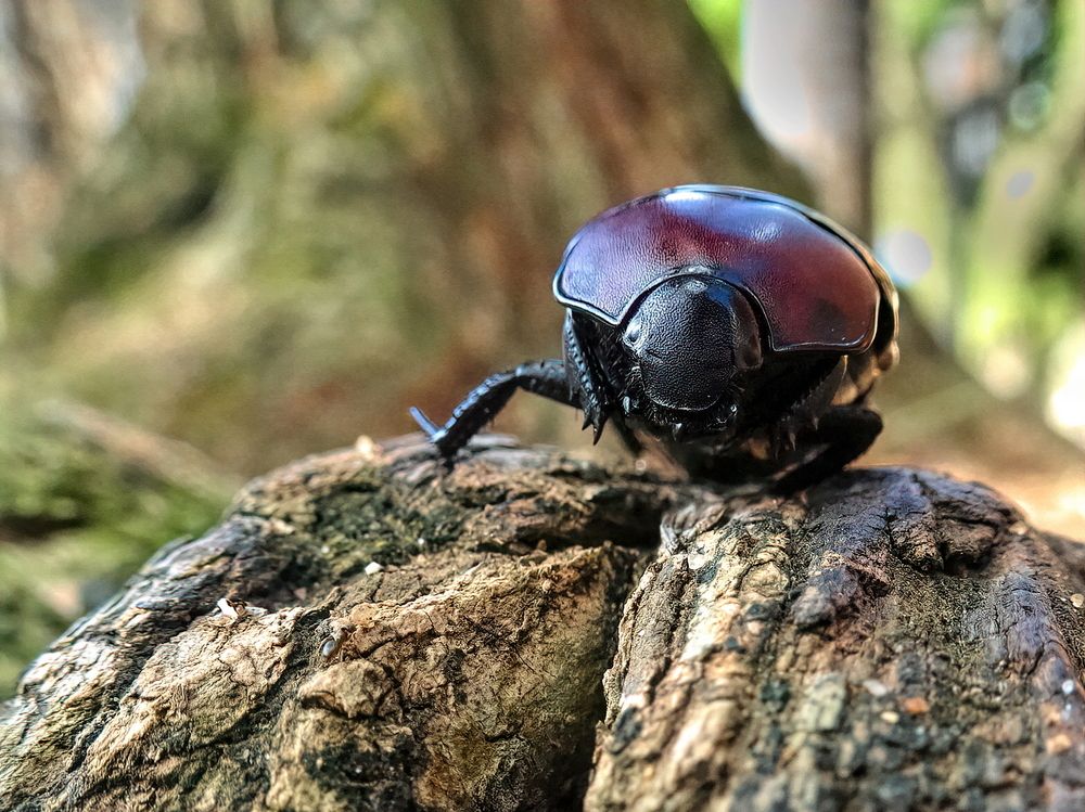 Photograph by Marcelo Luzzi