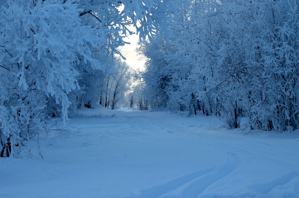 Фотография автора Любовь Харина