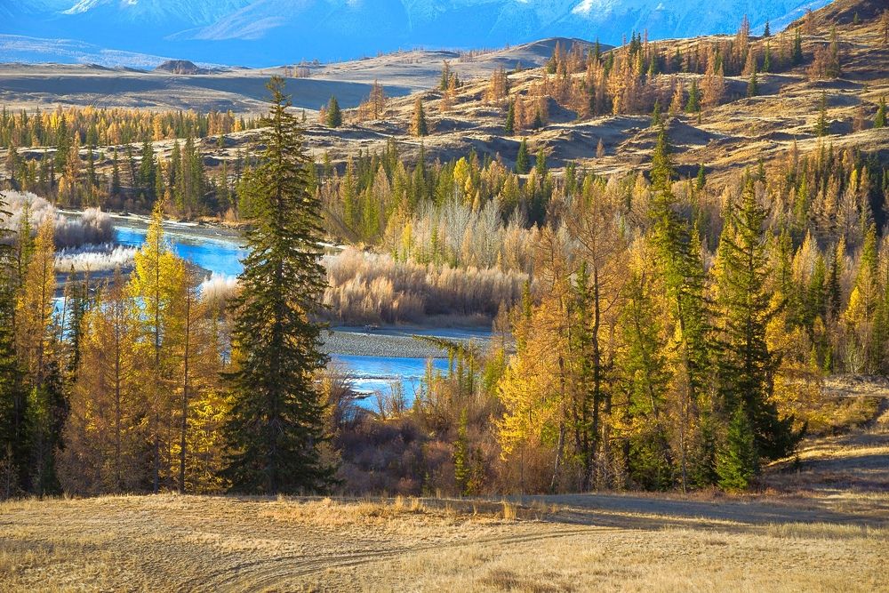 Photograph by Вадим Качанов