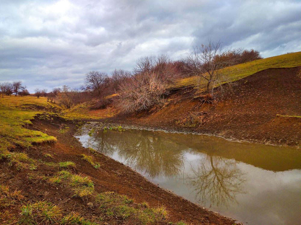 Лесное зеркало