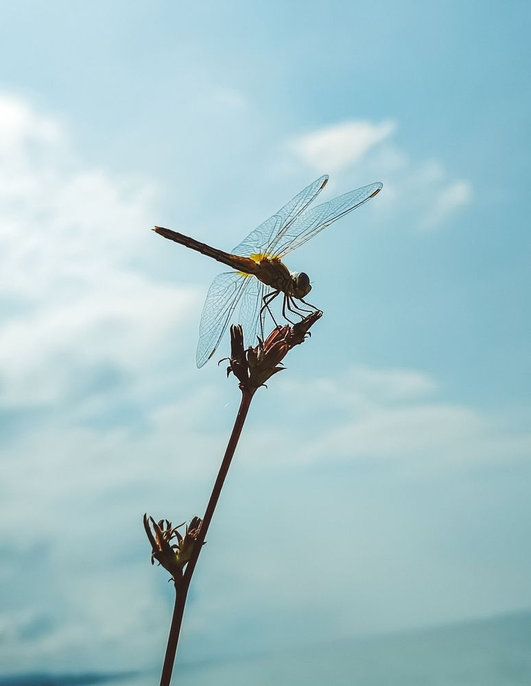Photograph by Elena Kilina