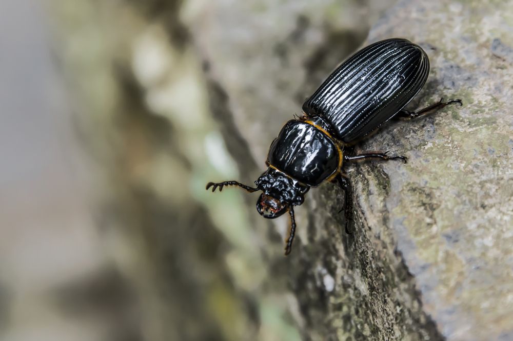 Photograph by Yamile Alfaro Picco