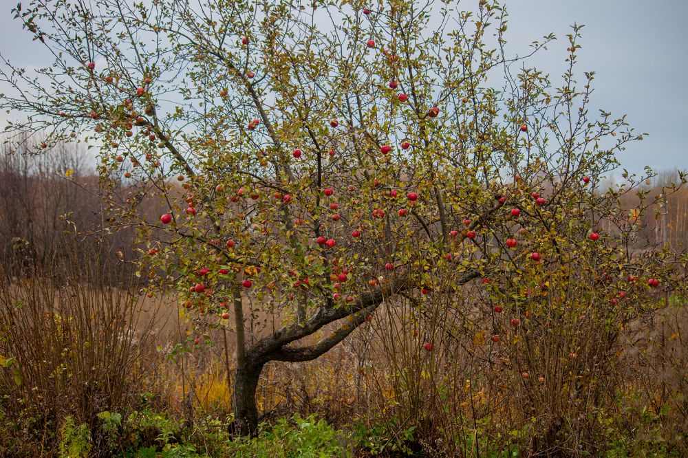 Photograph by Vladislav Kapanov