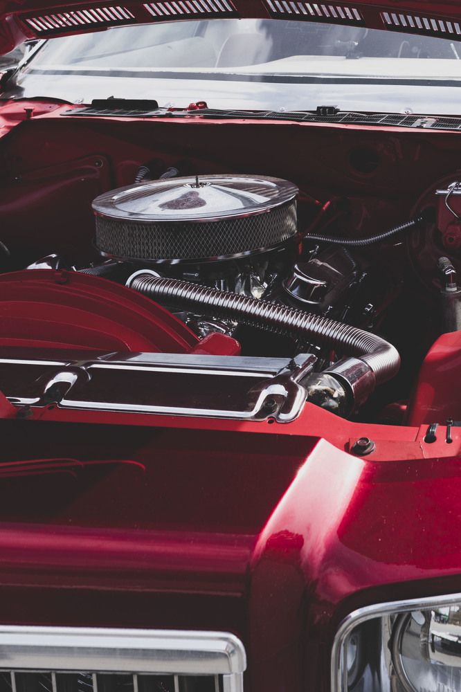 Photograph by ИРЕНА Федорова