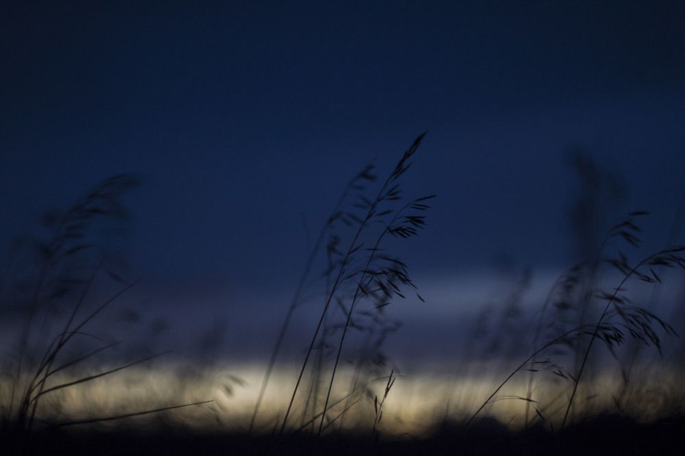 Photograph by Vladislav Kapanov