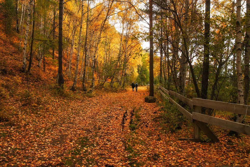 Тишина осени