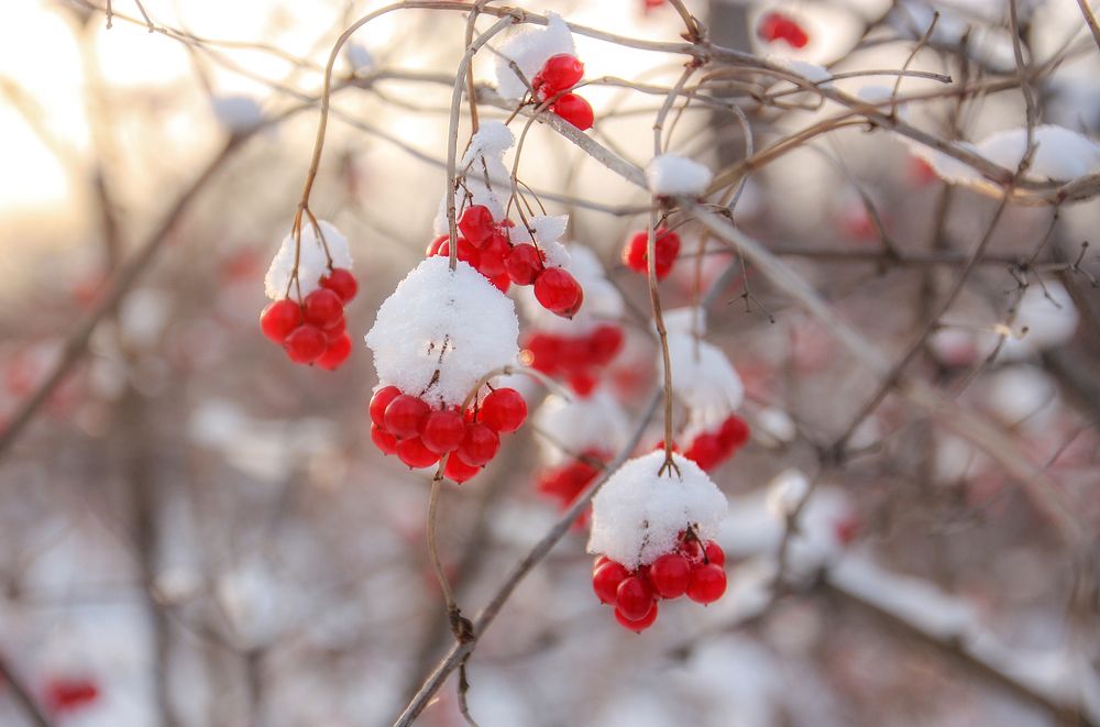 Photograph by Ольга Литвинцева