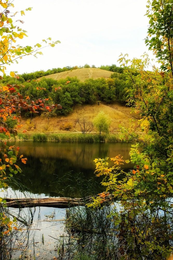 Photograph by Эльвира Куликова