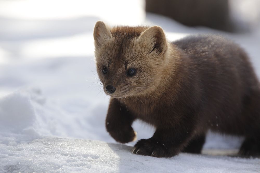 Photograph by Денис