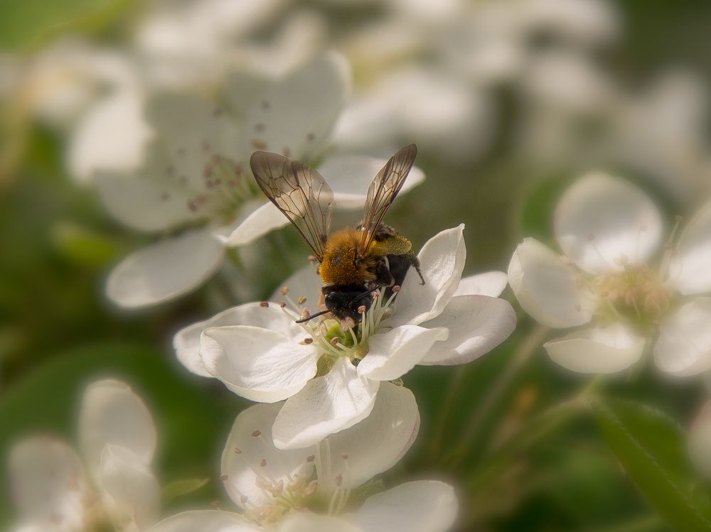 Photograph by Алексей Хазов