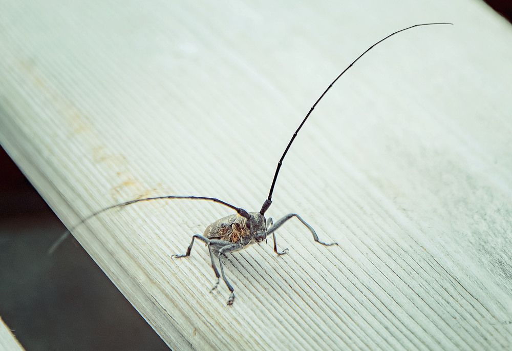 Photograph by Юлия Лушникова