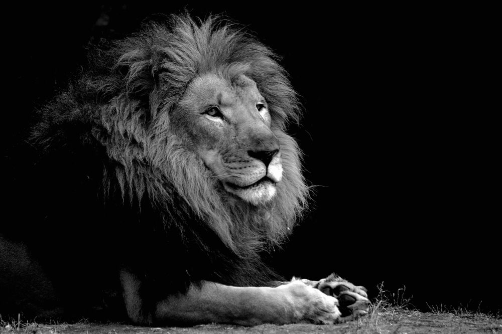 Фотография автора Viktoria