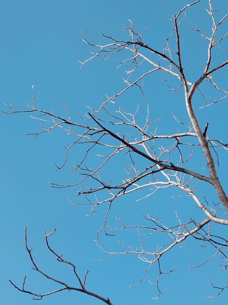 Photograph by Valentina