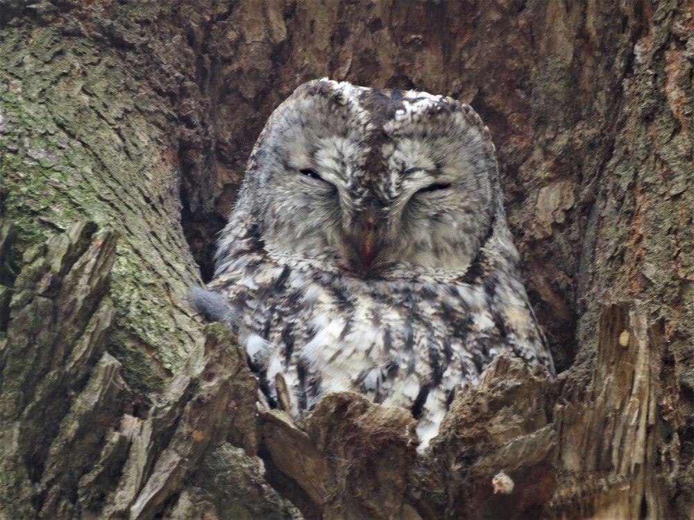 Photograph by Старичков Евгений