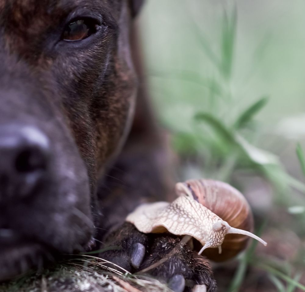 Юный натуралист.