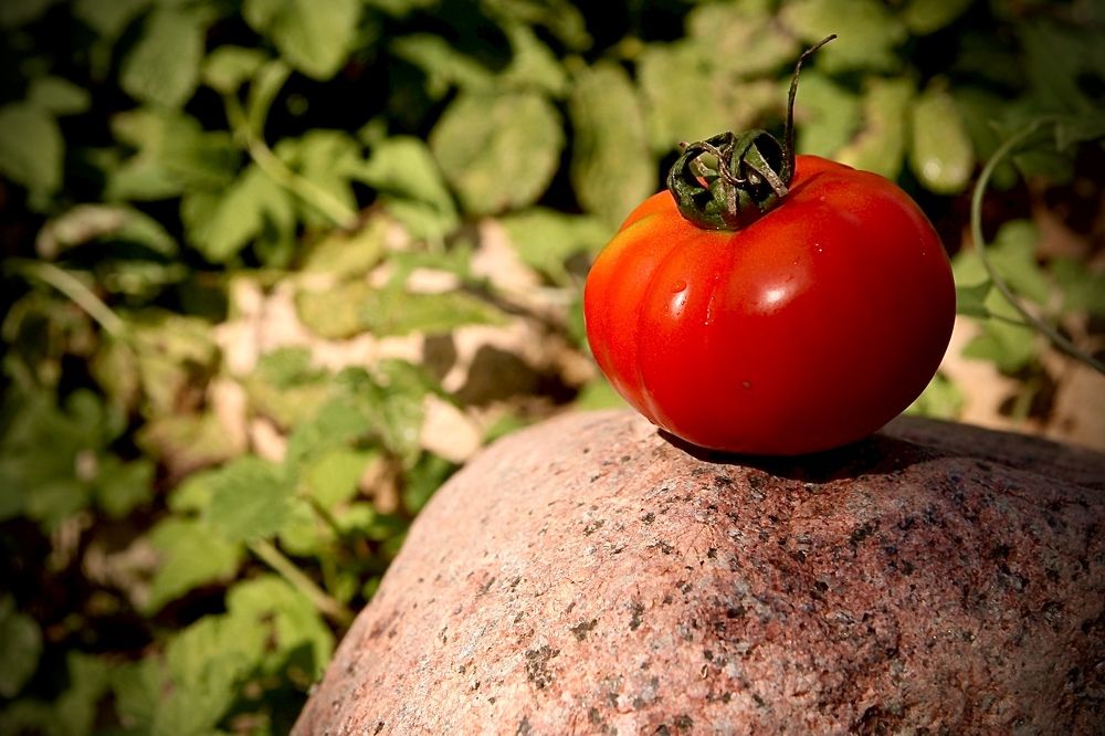 Photograph by Светлана