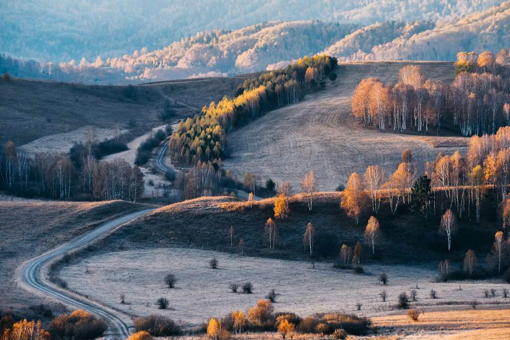 Морозное утро