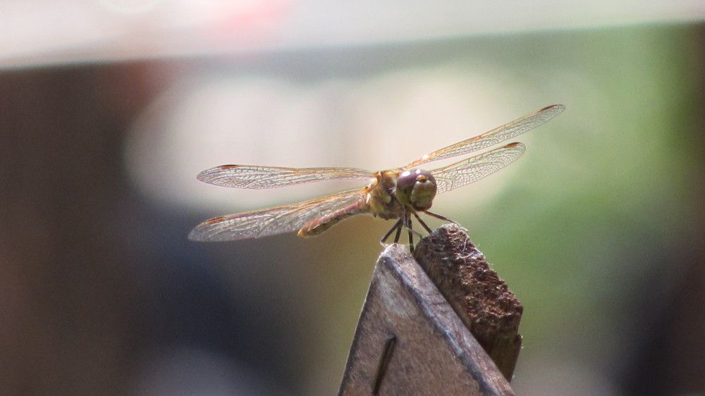 Photograph by Мария Глухова