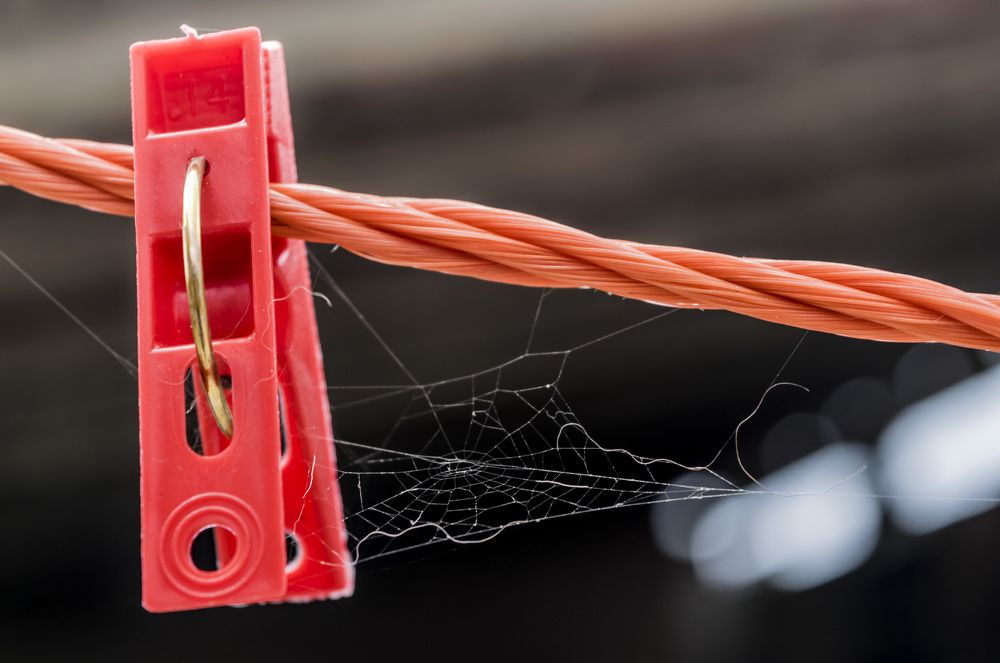 Photograph by Yamile Alfaro Picco