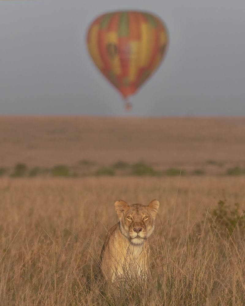 Photograph by Sushmeet Kathuria