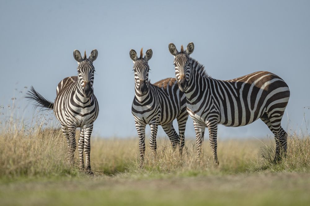 Photograph by Sushmeet Kathuria