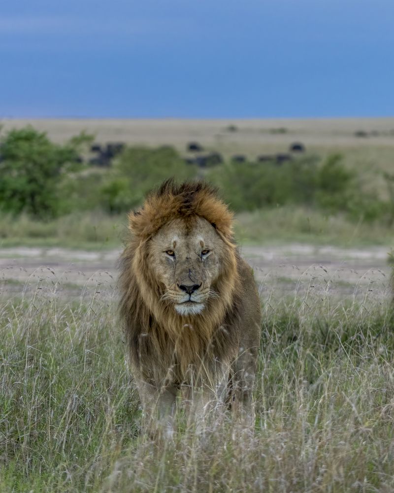 Photograph by Sushmeet Kathuria