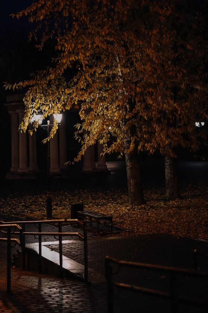 Фотография автора Виктория