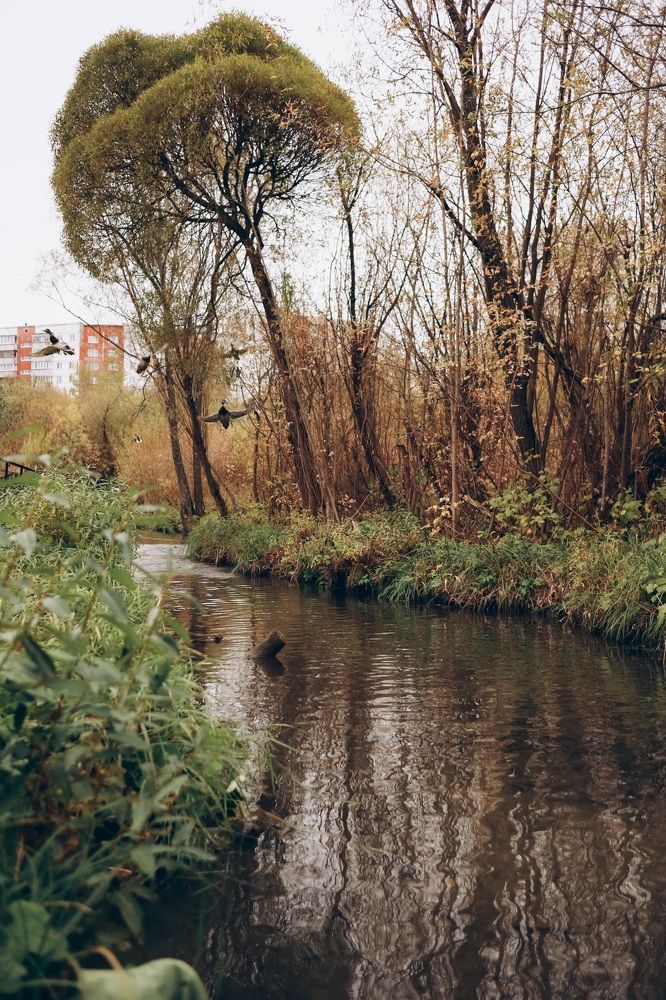 Фотография автора Виктория