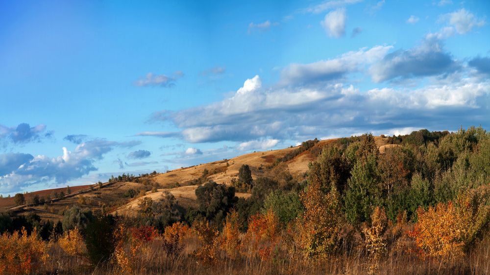 Photograph by Elena Dementova