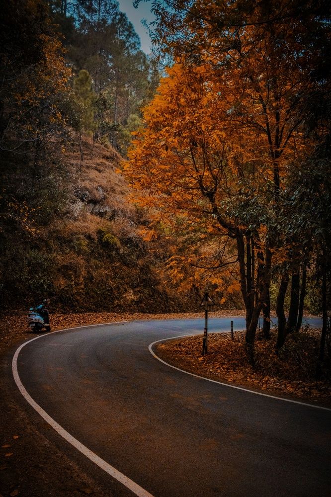 The colour of Autumn