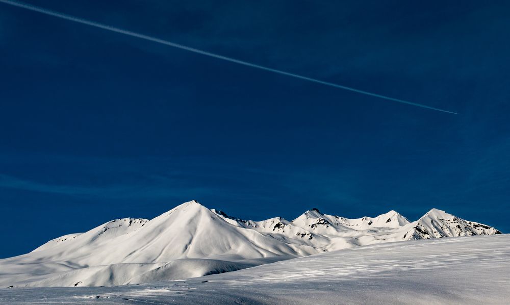 Photograph by Alex Kalpus