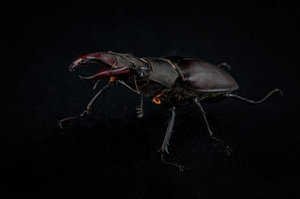 Photograph by Дёгтев Евгений