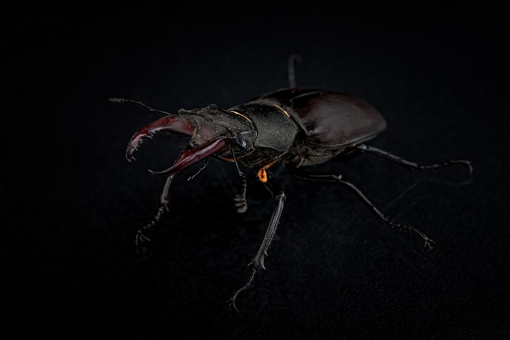 Photograph by Дёгтев Евгений