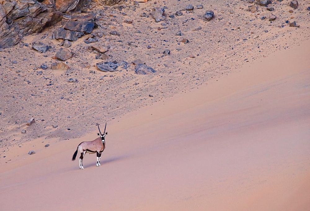 Photograph by THEODORE MATTAS