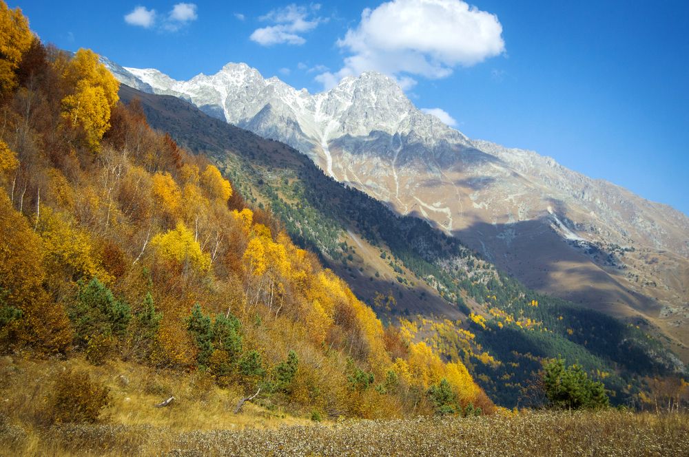 Photograph by Darya Stepanova