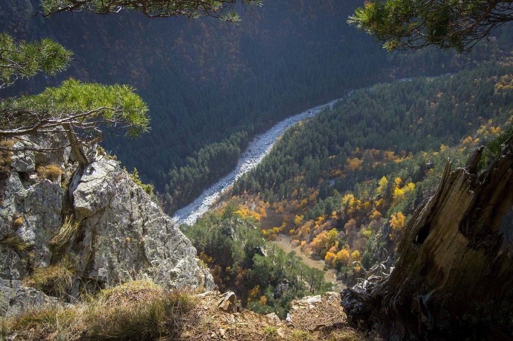 Photograph by Darya Stepanova