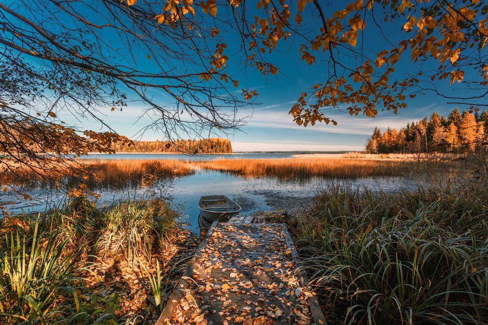 Photograph by Тимофей Шутов