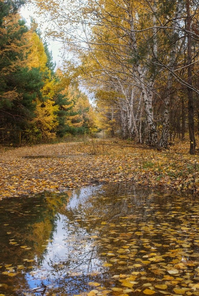 Photograph by Алла Никушкина