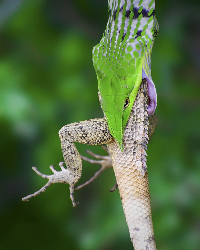 Photograph by Mohamed Raseem