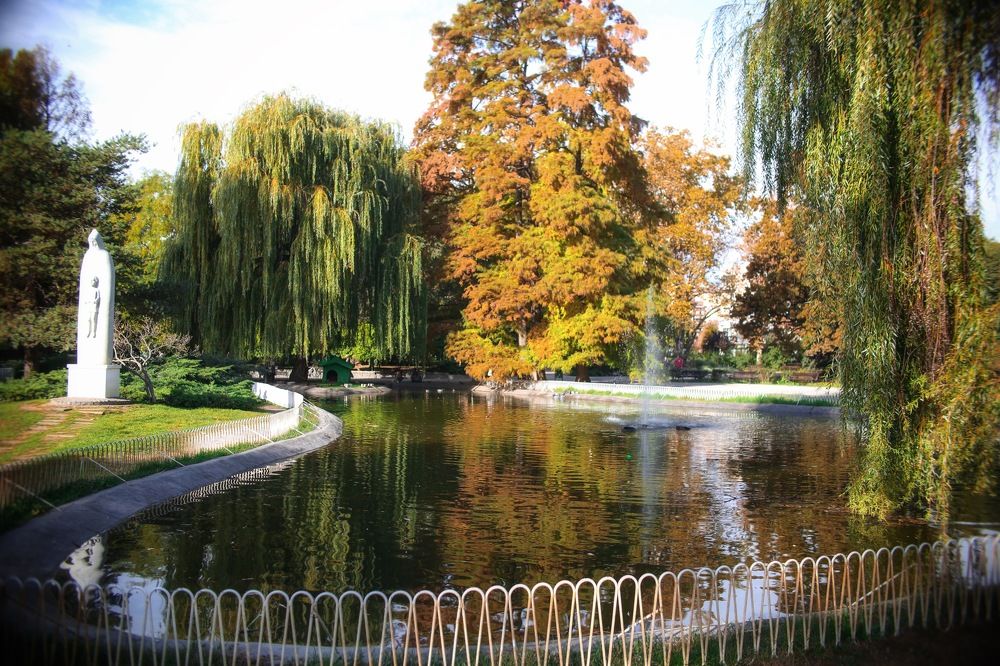 Photograph by Елена Хорошильцева