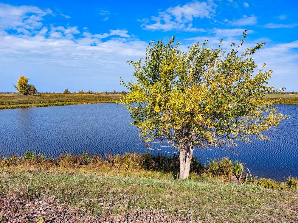 Photograph by Денис Полушин