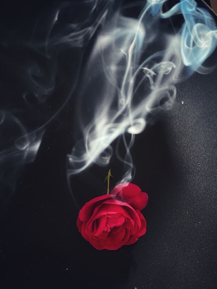 Photograph by Елена Хорошильцева