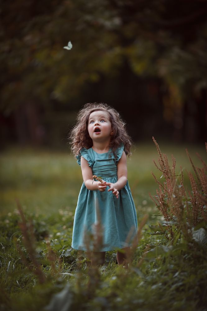 охота на бабочку