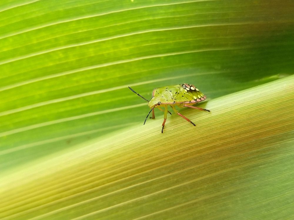 Photograph by sumit sitole